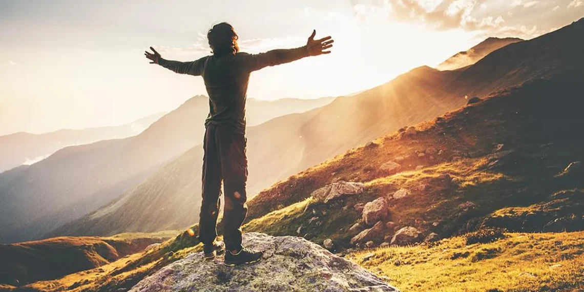 The Road to Financial Freedom: A Comprehensive Guide to Debt Management Plans