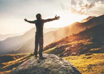 The Road to Financial Freedom: A Comprehensive Guide to Debt Management Plans