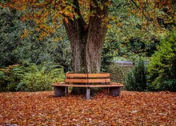 Unlocking the Key to Early Retirement: Strategies for Financial Freedom