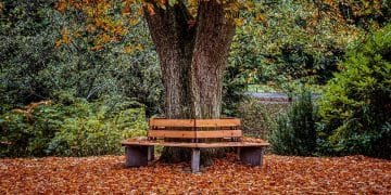 Unlocking the Key to Early Retirement: Strategies for Financial Freedom