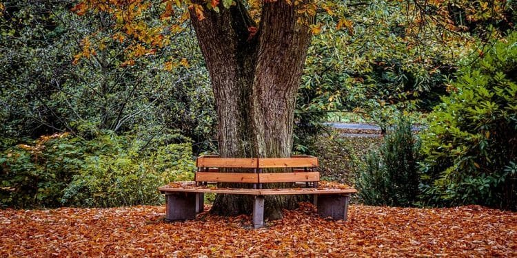 Unlocking the Key to Early Retirement: Strategies for Financial Freedom